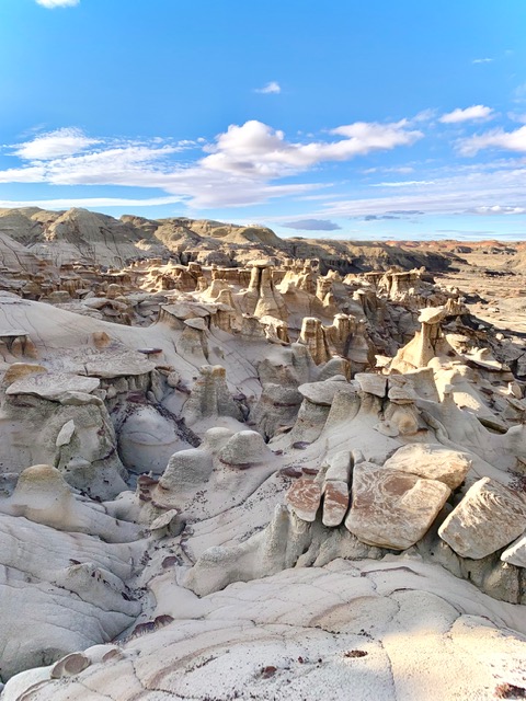 One of Top 5 reasons to adventure in the Four Corners is visiting unique geological formations like the one pictured here at Bisti Badlands Wilderness in Northwest New Mexico. 